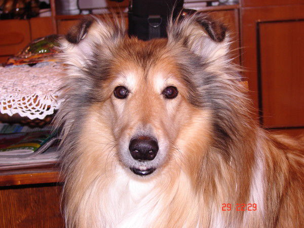 Панин Сергей