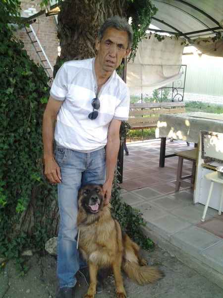 Анатолий Шило