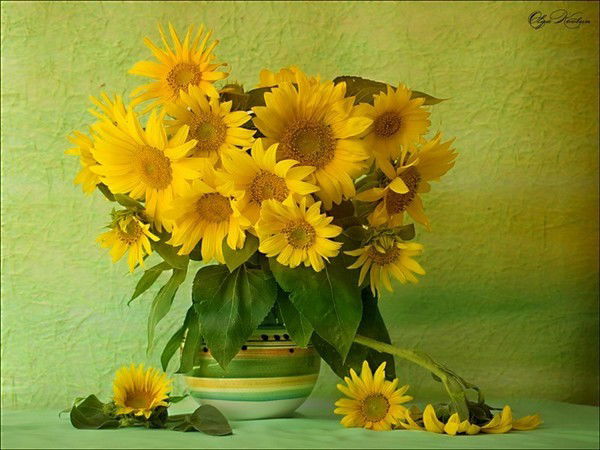 Татьяна Латынина