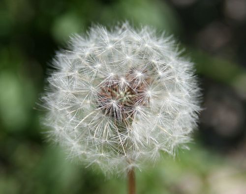 Игорь Гусаков