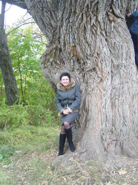 Елена Абрашкина