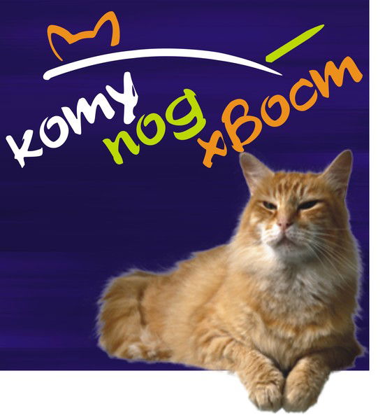 Денис Бурдасов