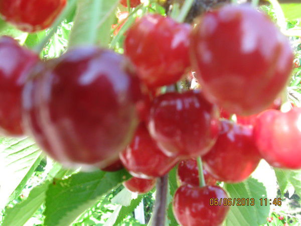 Александр Балдин