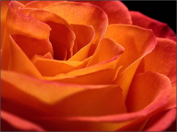 Наташа Дроздова