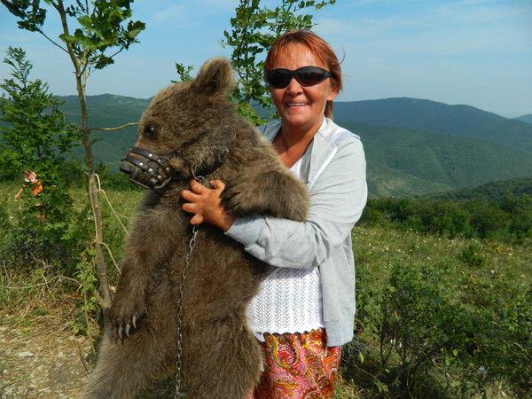 Елена Евсеева