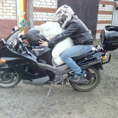 Андрей Гляшов