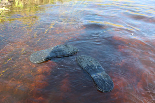 Наталья Глущенко