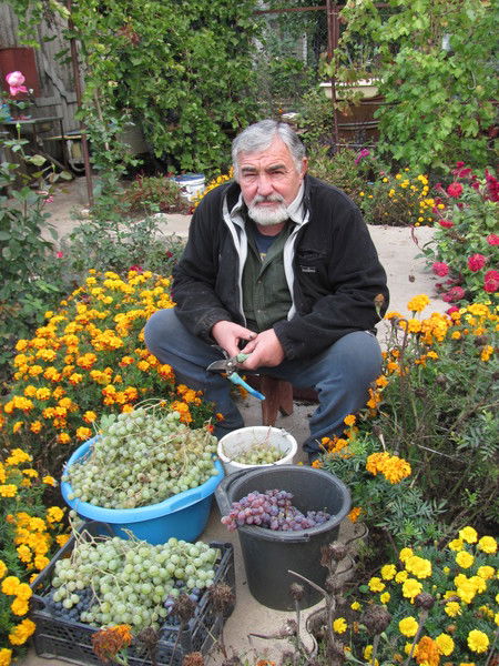 Александр Текутов