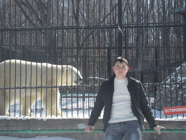 Александр Гоголь