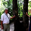 Юрий Клюзов