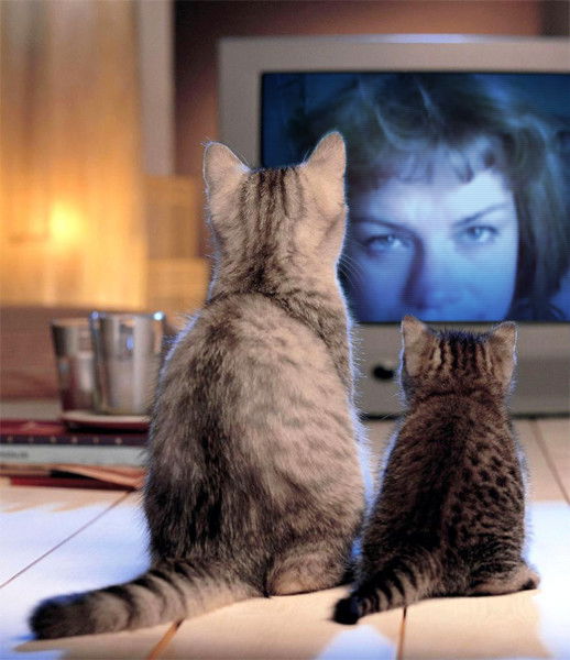 Наталья Водинская