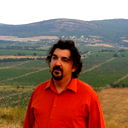 Игорь Золотовицкий