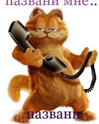 Максим Цветков