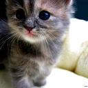 Tusya *****
