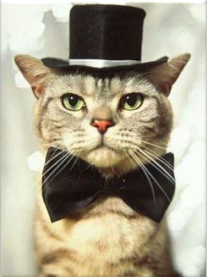 Дмитрий Марков