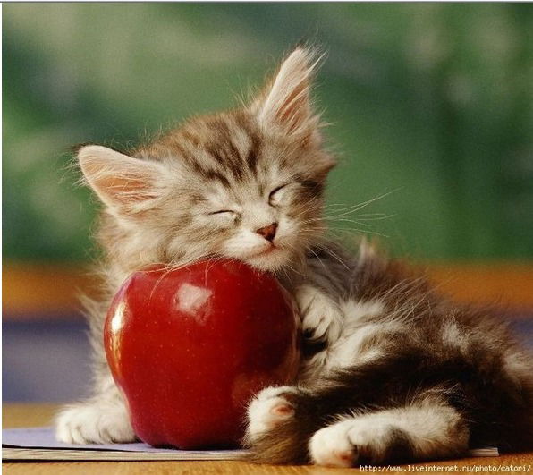 Кaтюшa Лысиковa