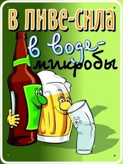 Денис Женский