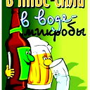 Денис Женский
