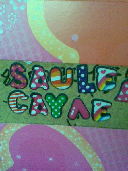 Сауле Шуткубаева