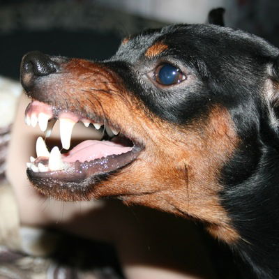 Алексей Чибрикин