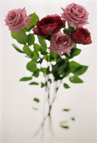 Гульнара Беккулова