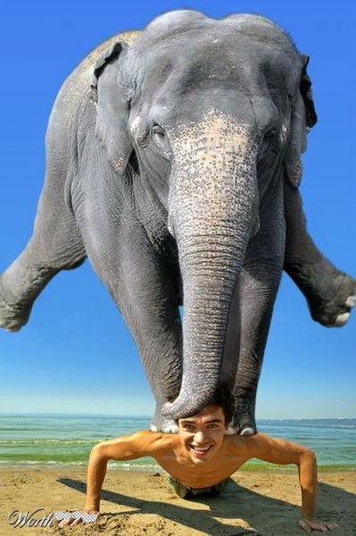 Николай Носов