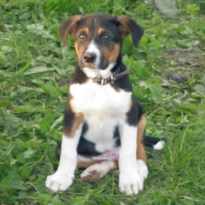 Наталья Ильина