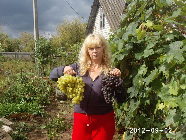 Лариса Ляшкевич