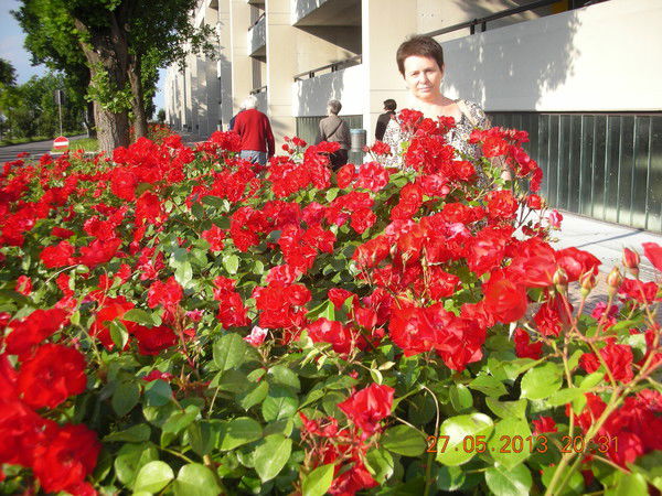 Семейкина Татьяна