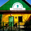 Каменный Цветок
