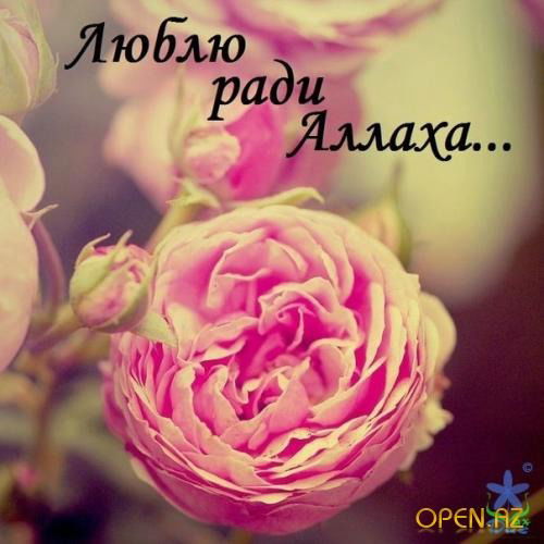 Бекзат Джумгалов