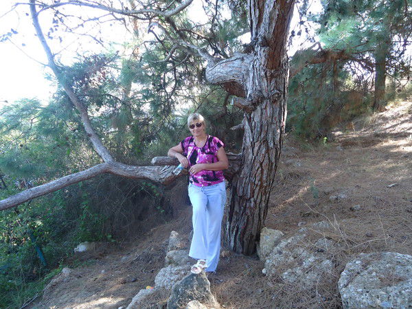 Надежда Яровая