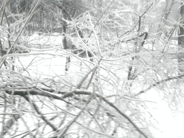 Марина Ленетева