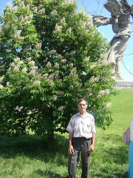 Вахтанг Михайлуц