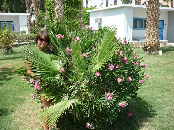 Ольга Еферова