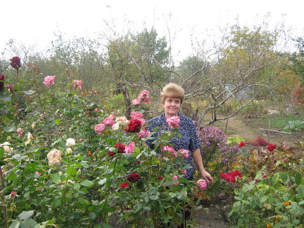 Cофья Чапны