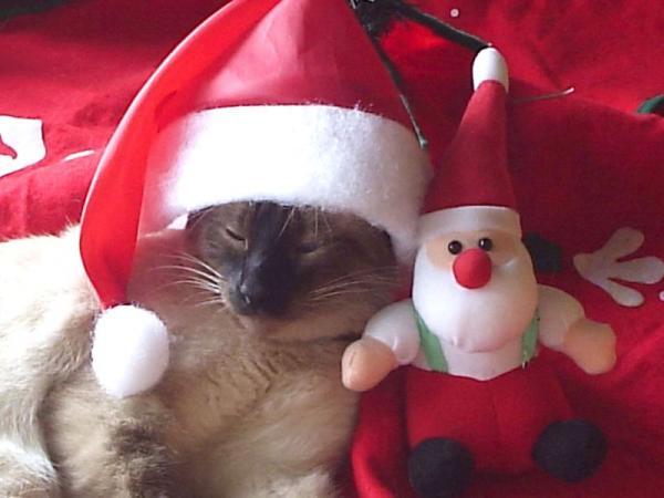 Лёха Пантюшев