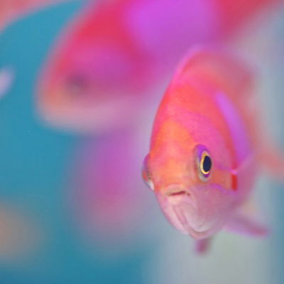 Настя Калугина