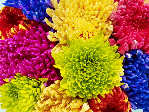 Виктория Александрова