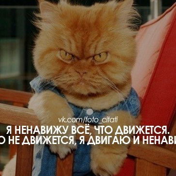 Сан Саныч Сан Саныч