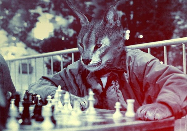 Алексей Кузнецов