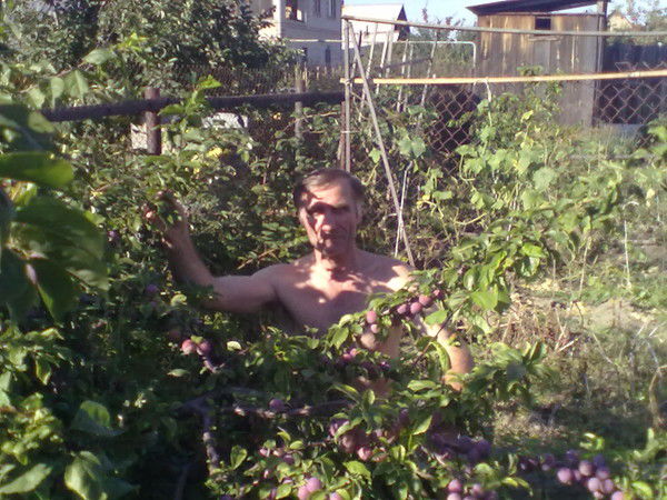 Тимур Путкарадзе