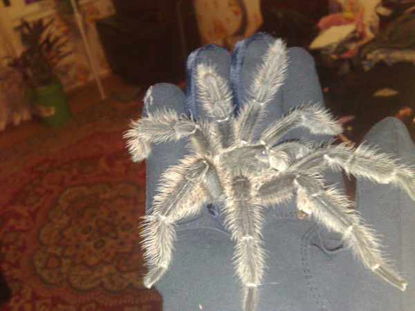 Александр Салмин