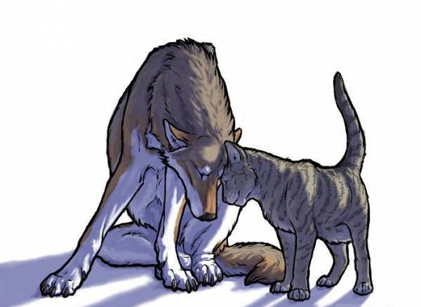 _Влюблённая _В Волка_