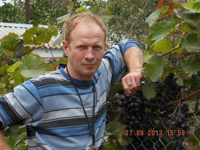 Ильин Дмитрий