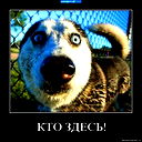 Игорь *