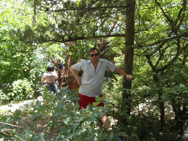 Дмитрий Вьюгин