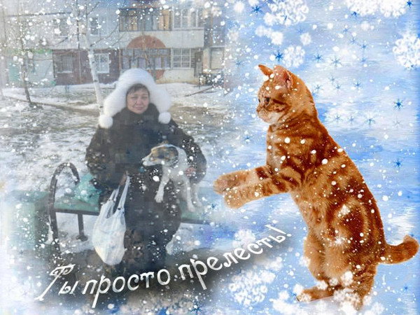 Гульсара Сокольниковп