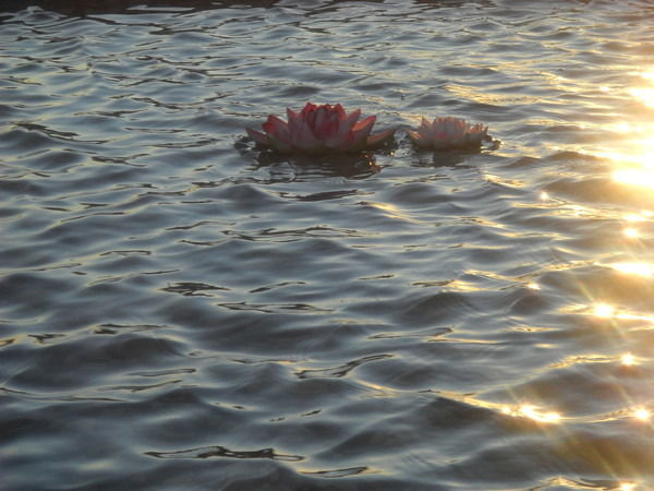 Ольга Подоляк