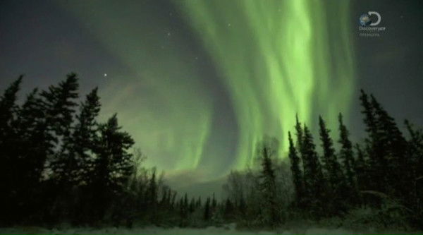 Андрей Семёнов